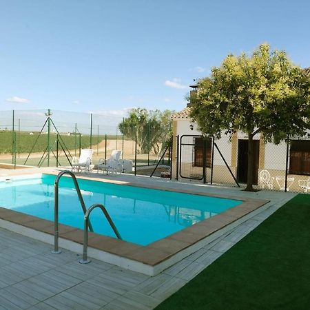 Alojamiento Rural Casa Los Arenales Кордова Экстерьер фото